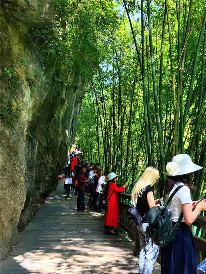 香港35图库大全手机看图区网通